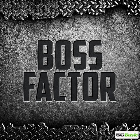 Boss Factor